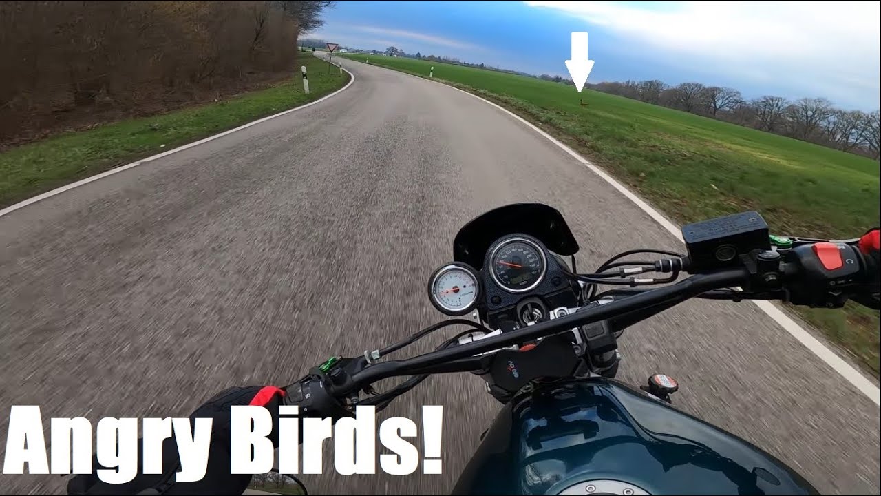 SV650 Scrambler bei -3 Grad ( fast vom Fasan attackiert! )