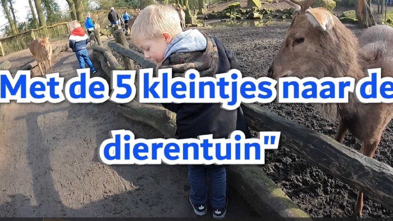 Familie Blom vlog 23 - Met de 5 kleintjes naar de dierentuin