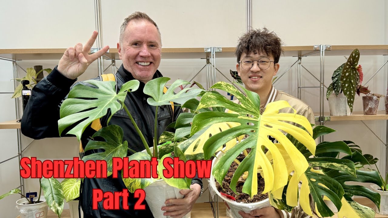 Shenzhen Plant Show Part 2