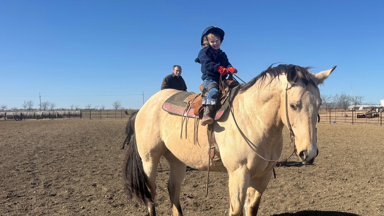 Slip Two Me “Buck” AQHA Gelding 
