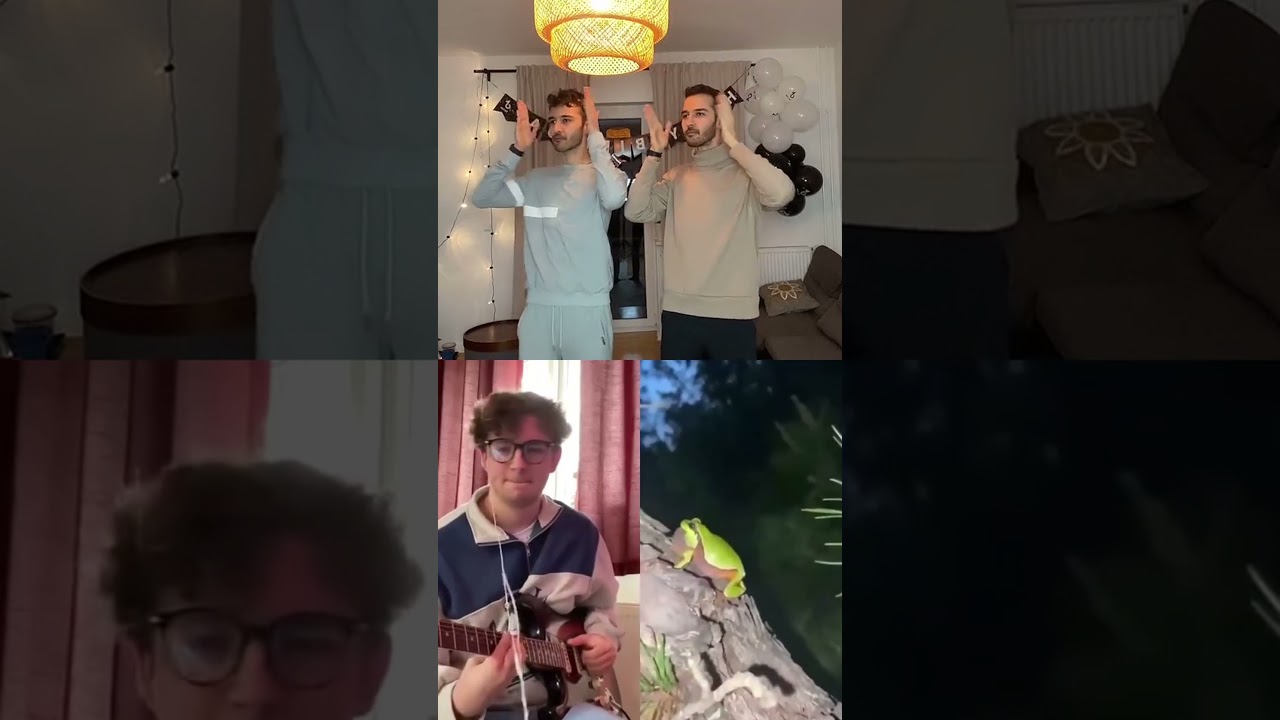 Disco Frog TikTok Chain but its actually good lol