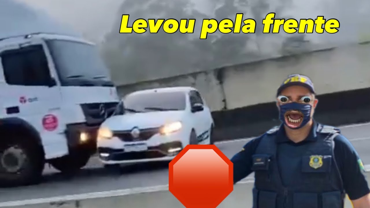 MEMES POLICIAIS - INSETOS BAGUNÇANDO TUDO
