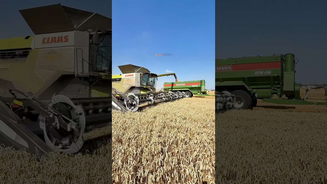 Unloading the CLAAS 8900 lexion combine harvester into the Bergmann chaser bin with CLAAS 960 TT