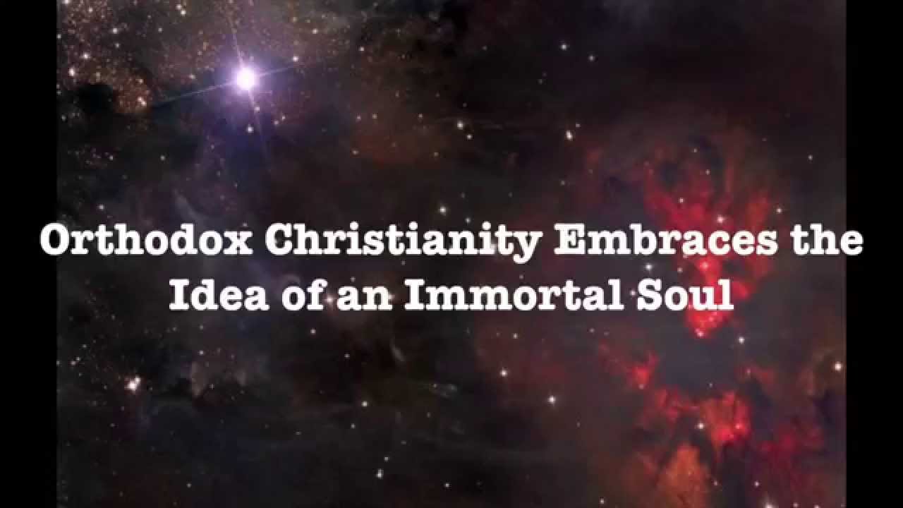 SW Global Trailer -- Do we have an Immortal Soul?