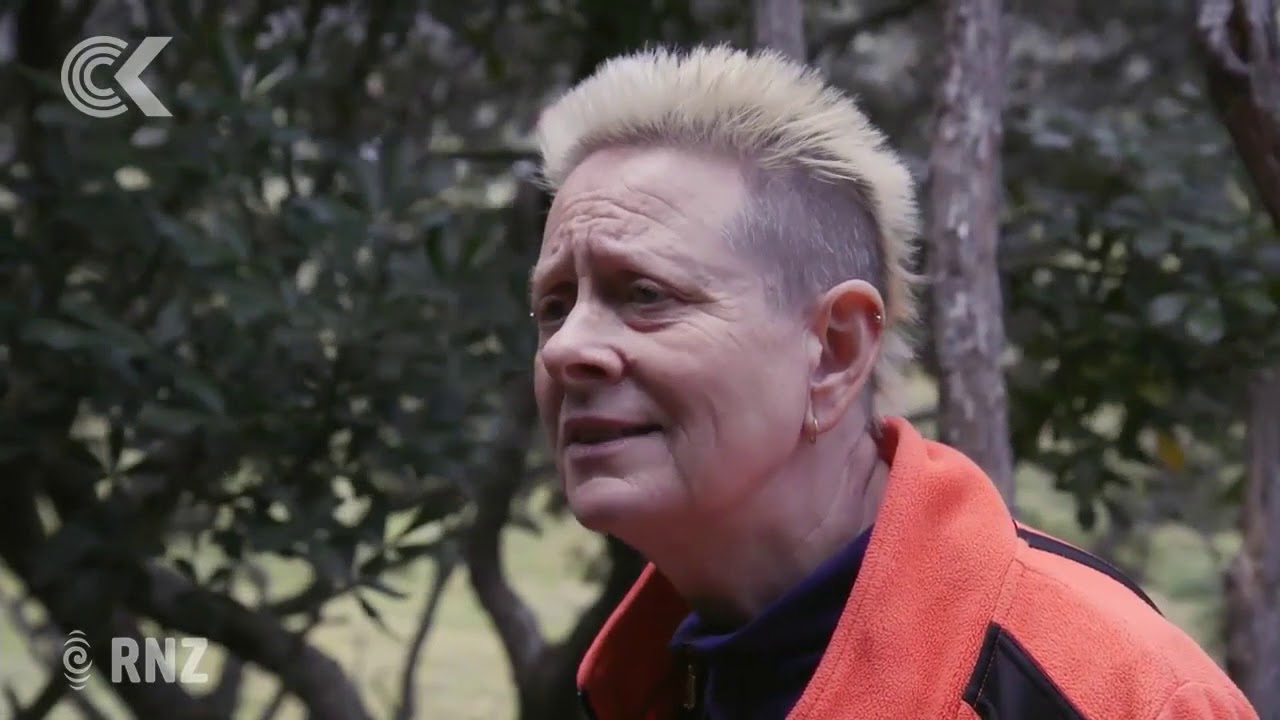 Auckland Council called on to do more to protect Waitakere ranges