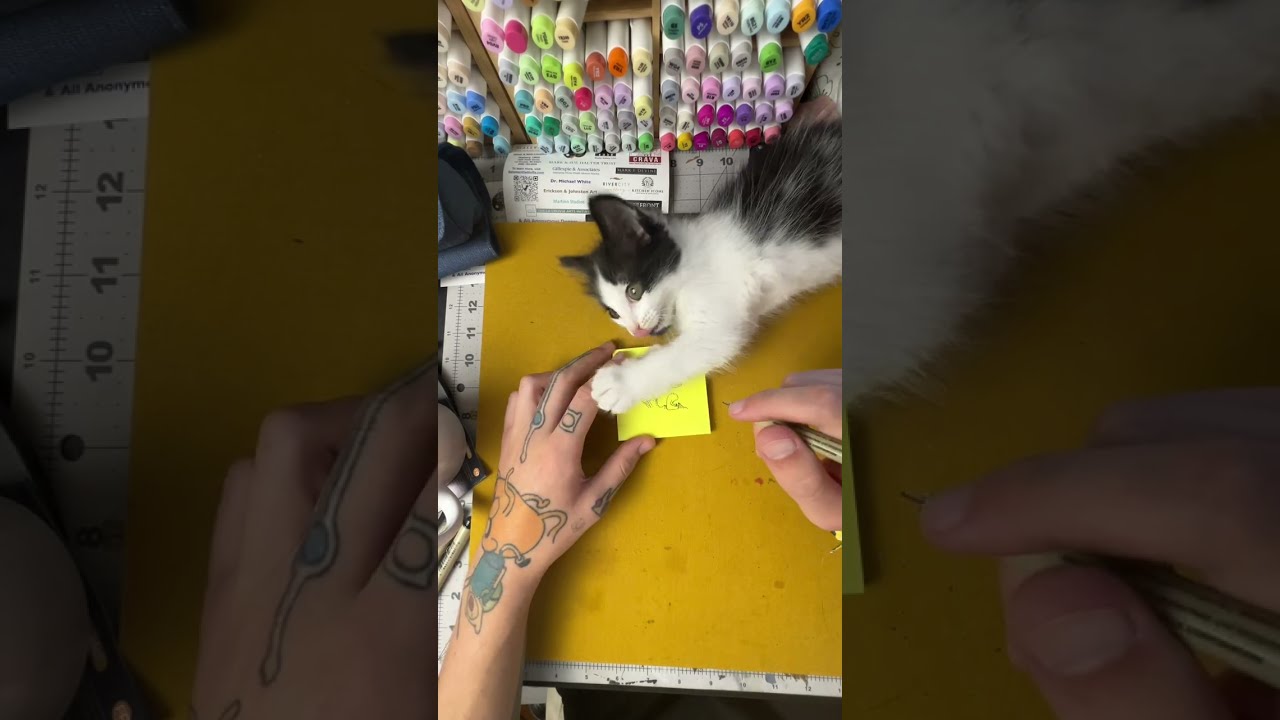 Kitten Post-it note doodle challenge! 