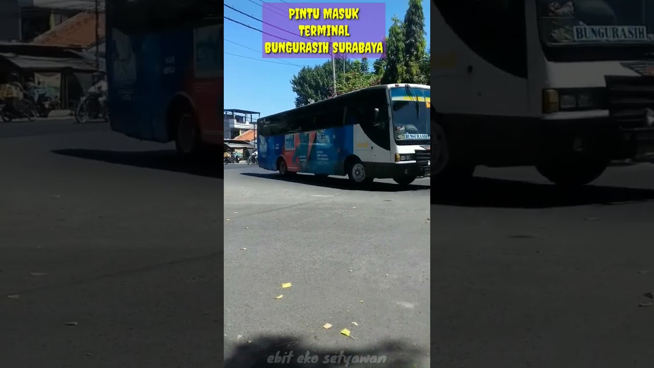 bus kota bratang surabaya