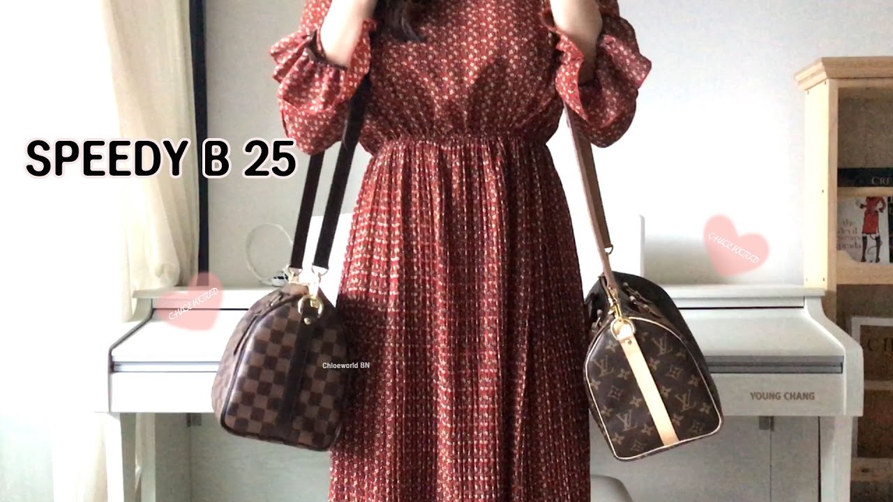 Louis Vuitton Speedy B 25 Damier Ebene VS Monogram,Comparison,Bandouliere