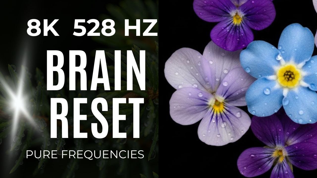 Brain Reset: 528 Hz DNA Repair Frequency — Miracle Tone | The Pure Element / 528 Гц: Регенерация ДНК