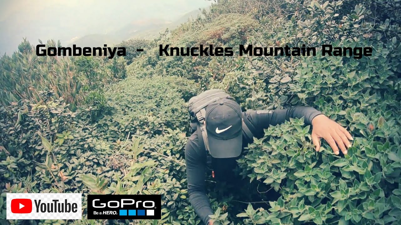 Gombeniya | Knuckles Mountain Range | Travel Vlog 5 | Freedom Traveller