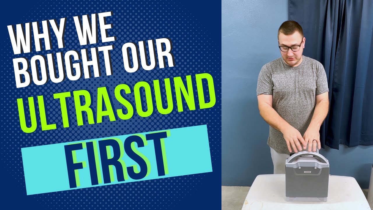 Getting A Ultrasound For Ball Pythons!