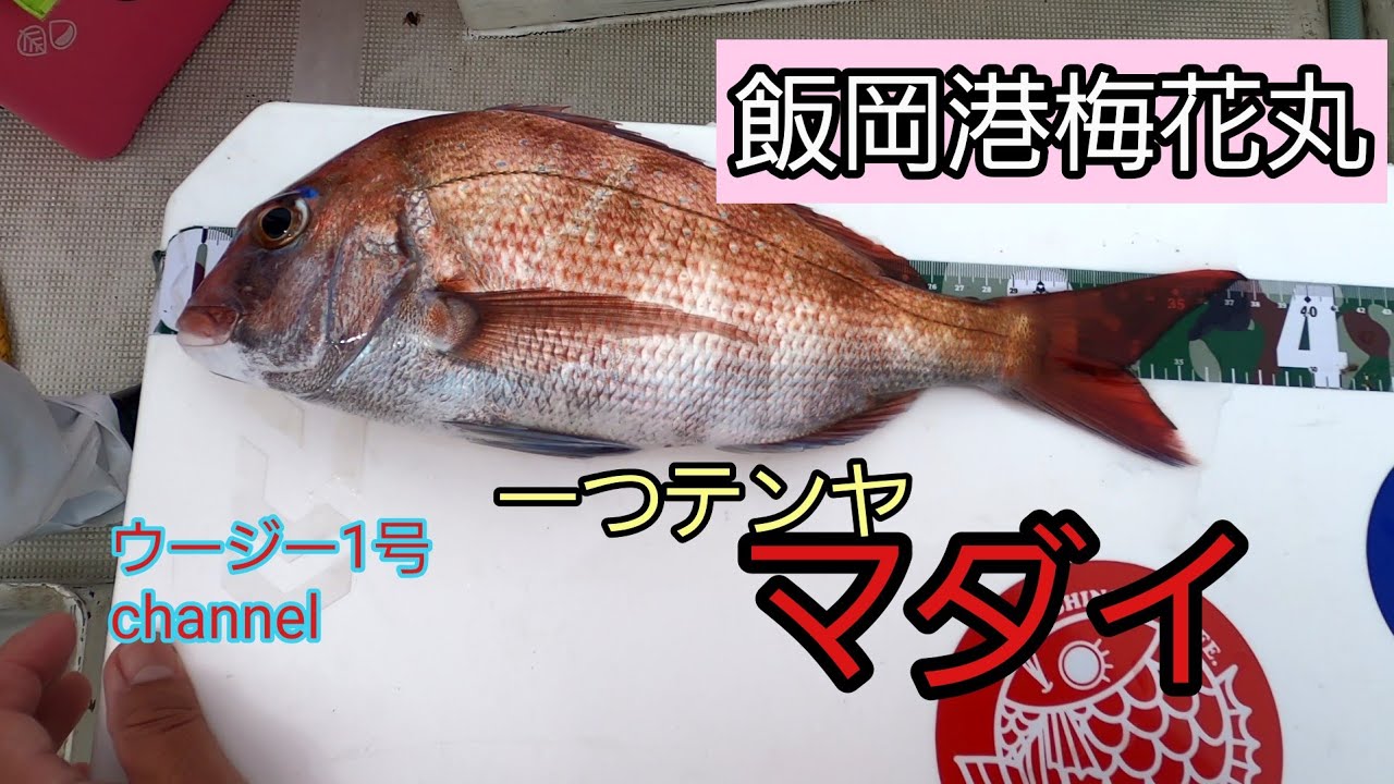 飯岡港梅花丸さんで一つテンヤ真鯛(2025年5月)