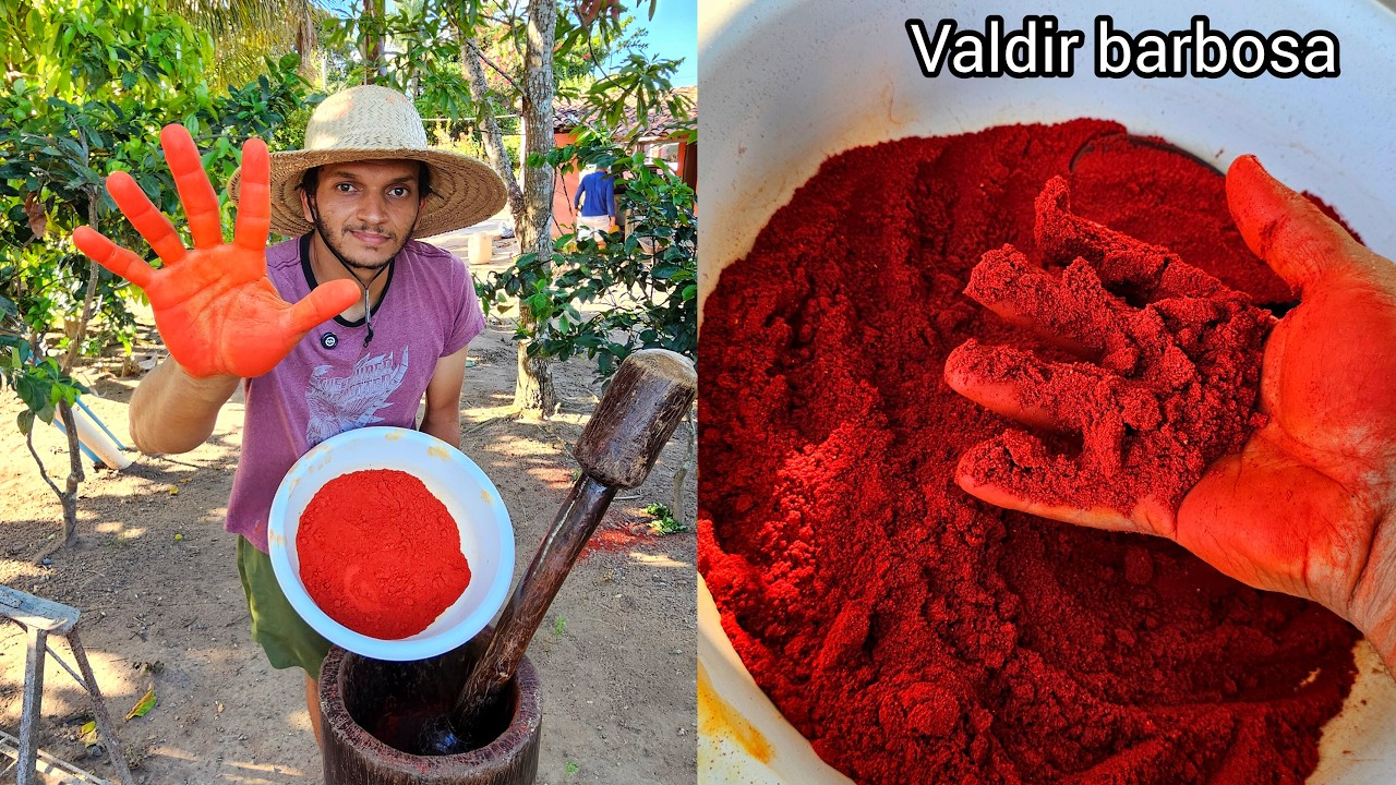 O principal  tempero  que faz toda diferença  nas comidas da roça - como fazer 