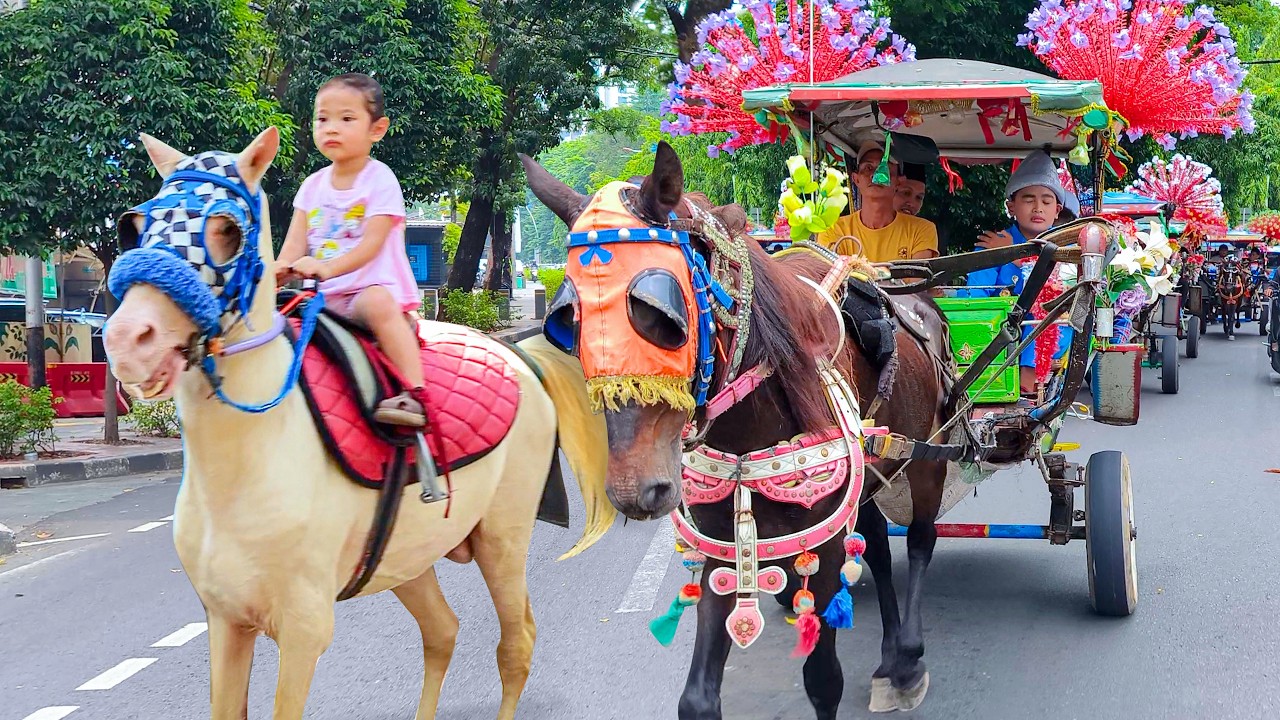 NAIK DELMAN ISTIMEWA 🐎 LAGU ANAK ANAK - KUDA DELMAN