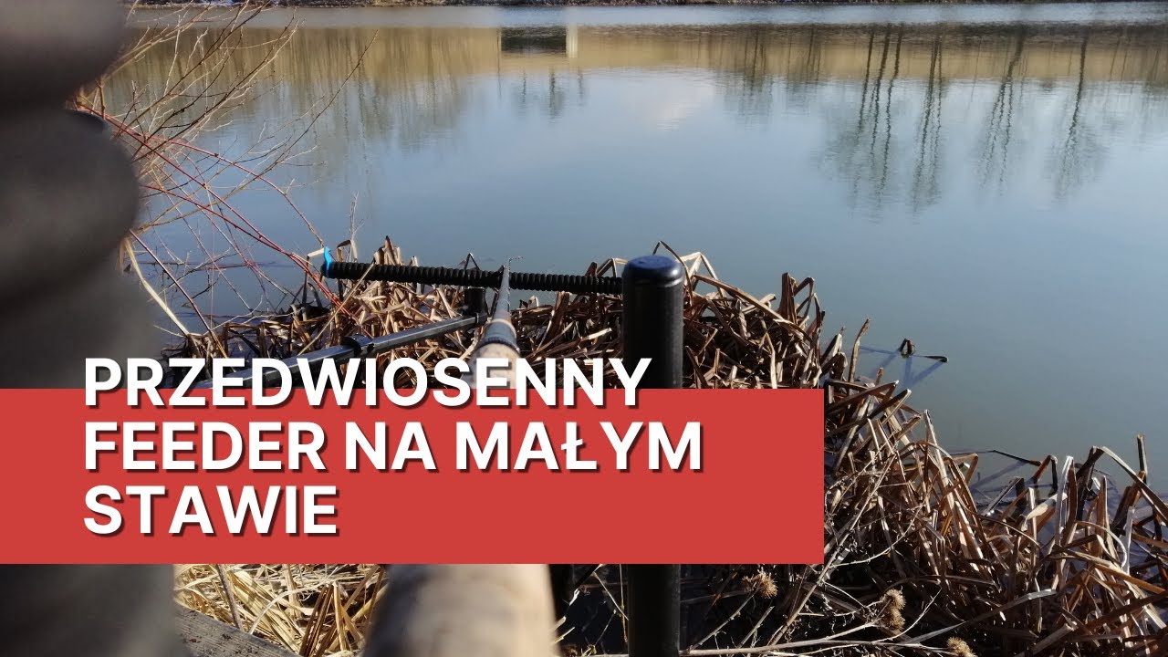Przedwiosenny feeder na małym stawie