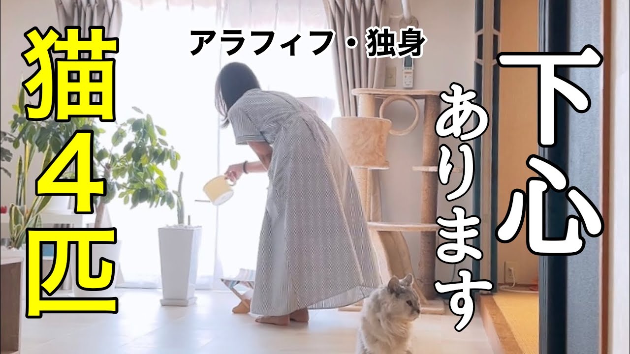 【アラフィフ×独身女】猛暑の休日やることやってしまうために下心って必要【一人暮らし女の休日】