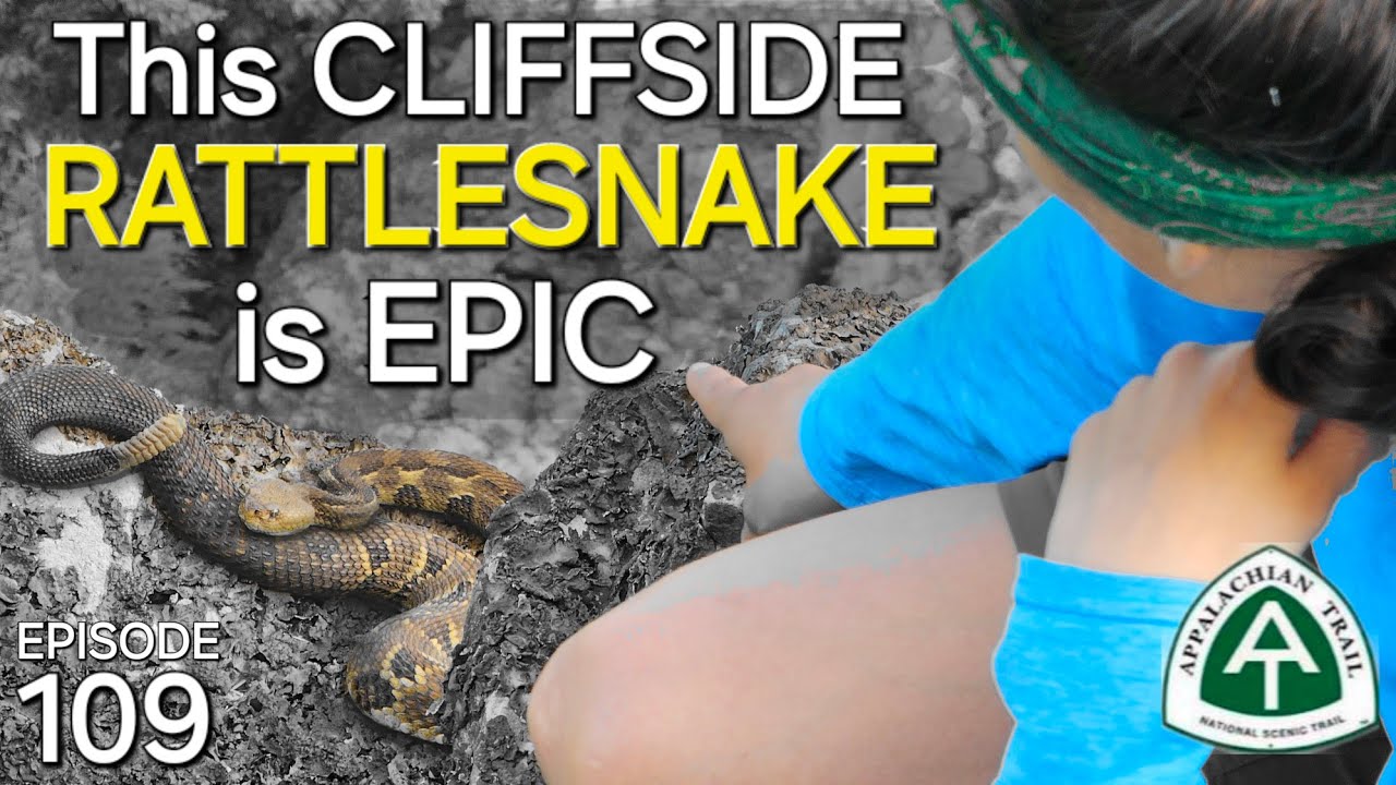 AT: Ep109 - The WILDEST Snake Experience - Appalachian Trail Sobo 2024