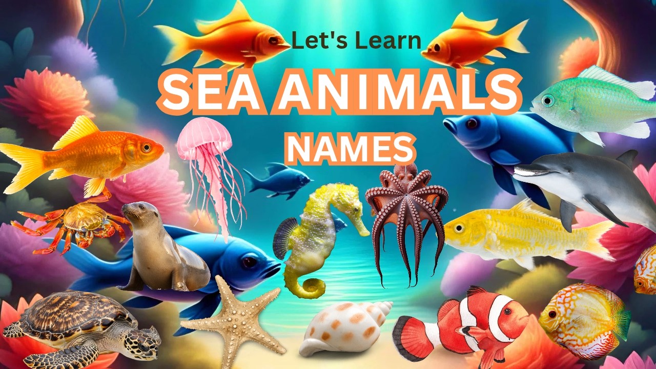 Sea Animals| Sea Animals Names in English | Ocean Animals | English Names of Sea Animals #sea #quiz