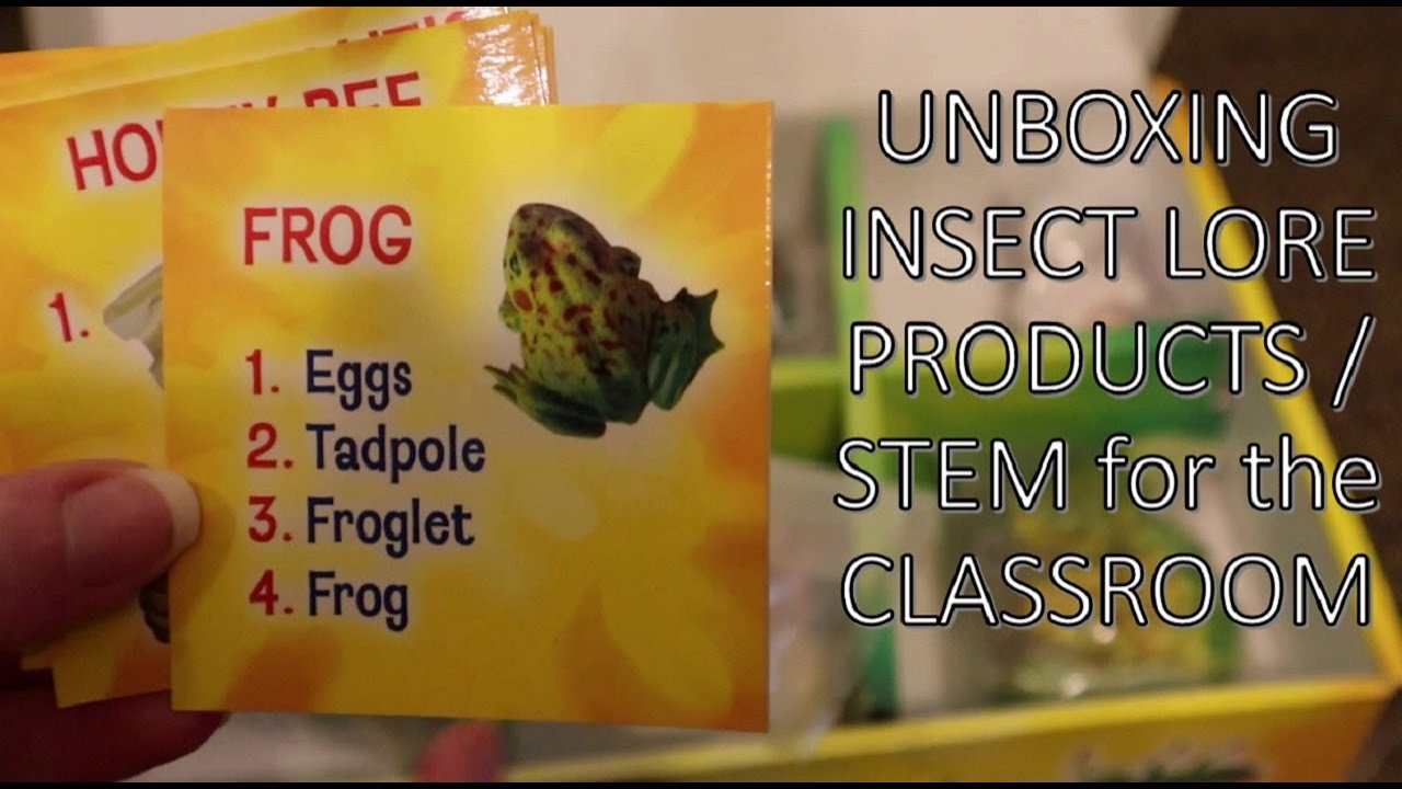 Unboxing Insect Lore Products: STEM Activities for the Classroom (Also Great for Homeschool)