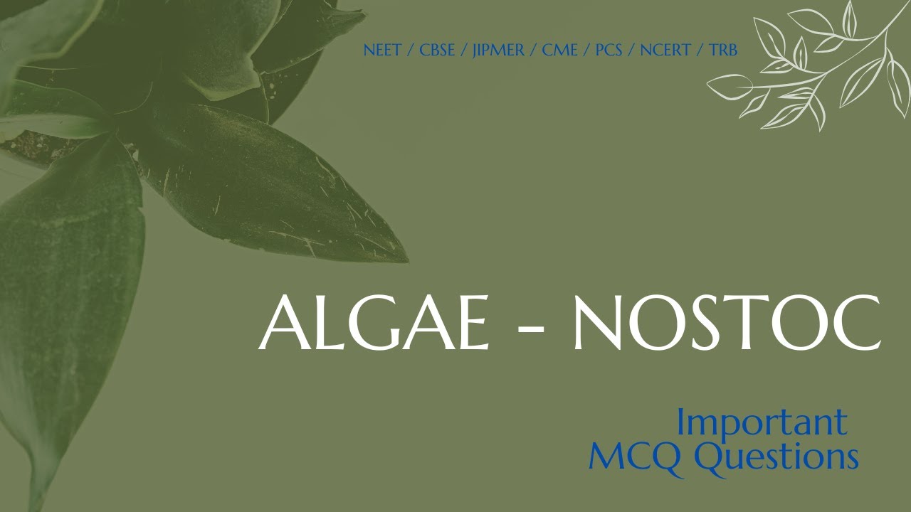 Botany | Algae-Nostoc MCQ Question - II | TRB | CBSE | HSC | NEET #BotanyMCQ