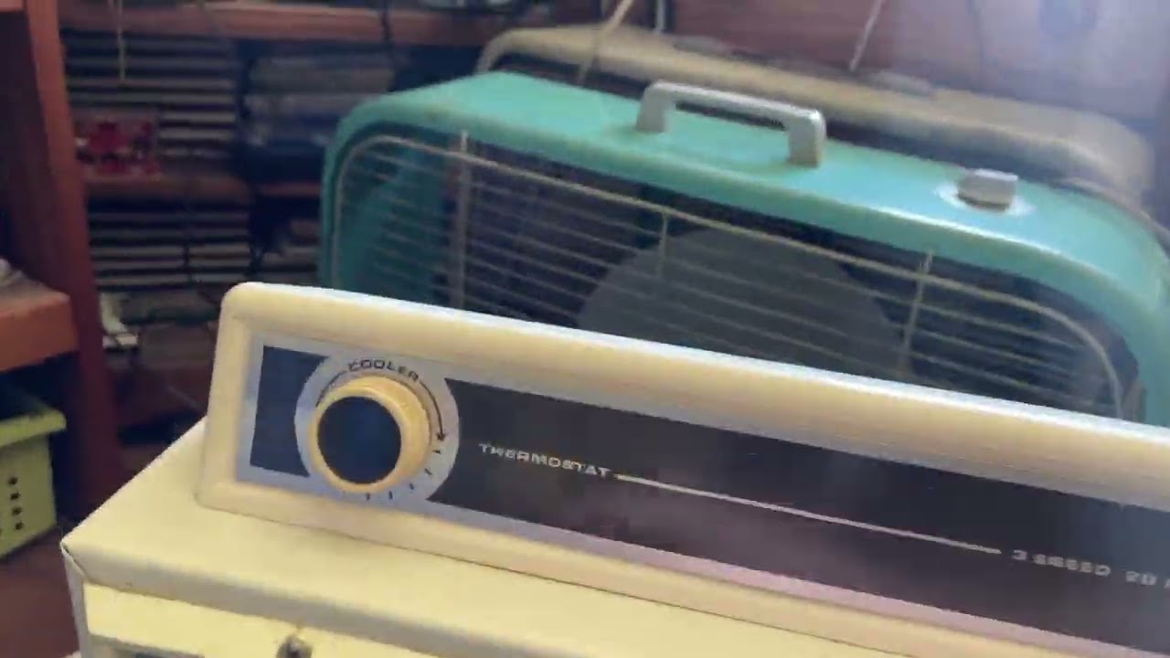Fan Startups Spring 2022