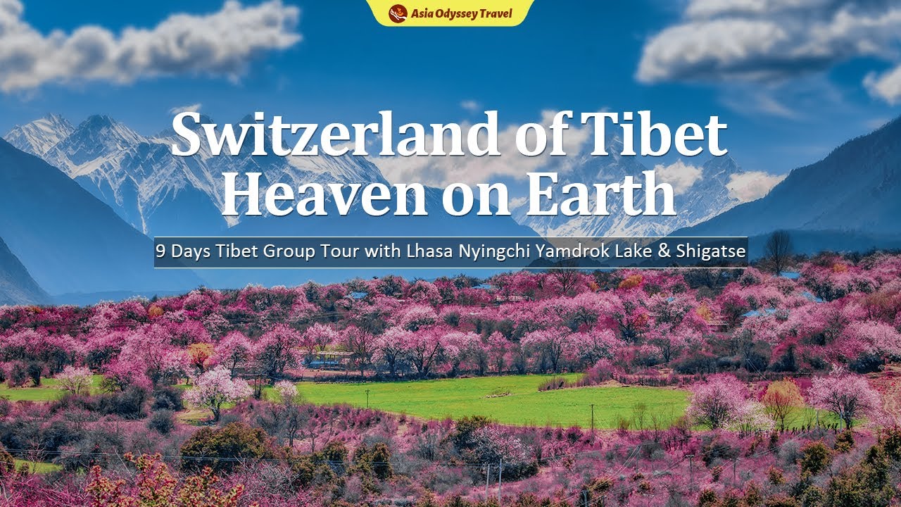 Paradise on earth Tibet | 9 Days Tibet Group Tour with Lhasa Nyingchi Yamdrok Lake &  Shigatse Tour