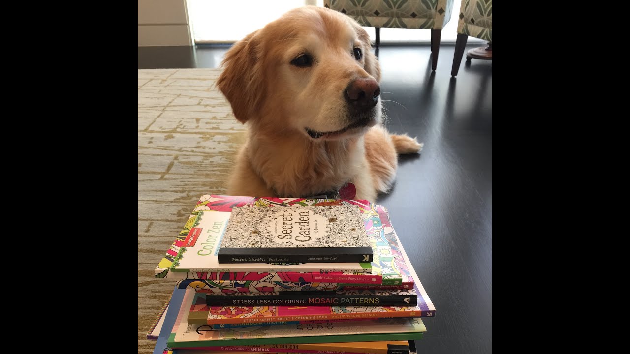 Coloring Book Review