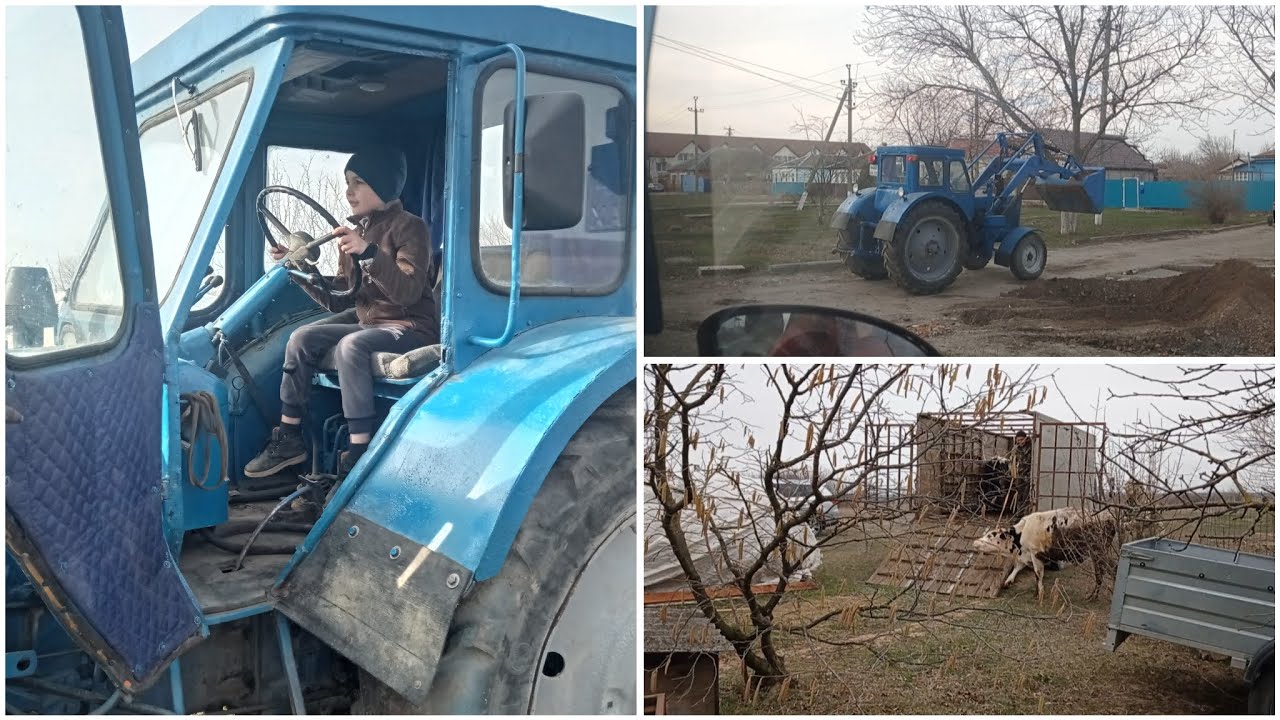 Сдали быков. Купили трактор.