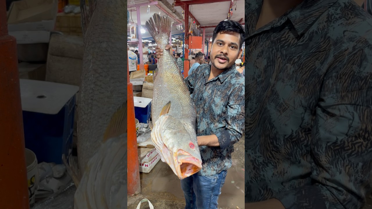 Ghol Fish 🐟 15KG😱#shorts