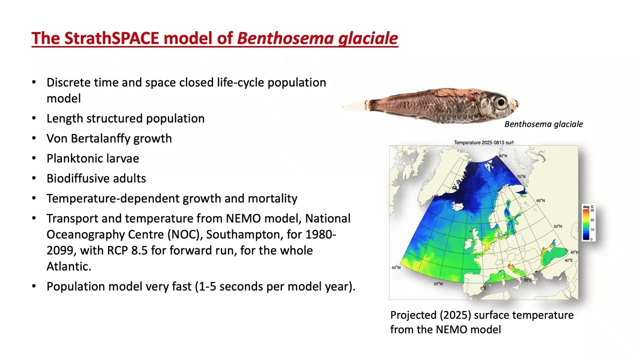 E-Learning webinar on the StrathSPACE Model