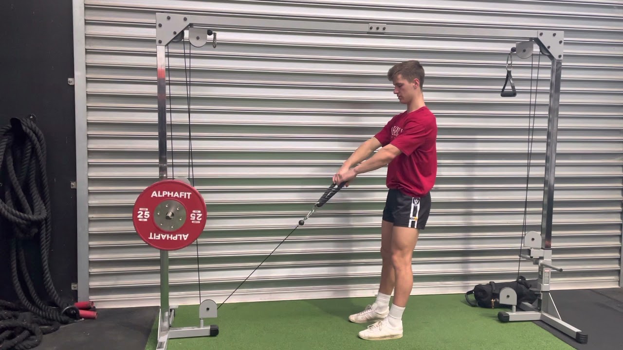 Low-to-high rope face pull