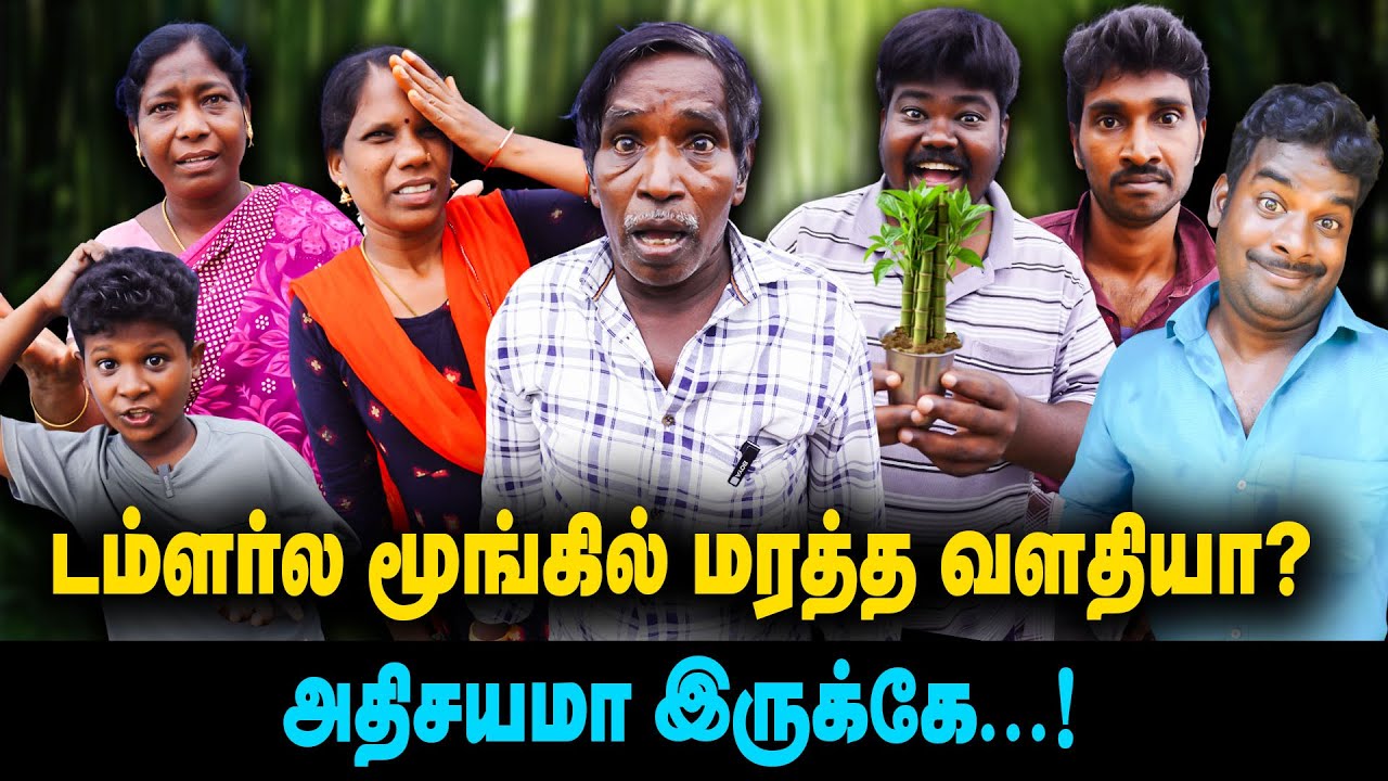 டம்ளர்ல மூங்கில் மரத்த வளதியா? |  அதிசயமா இருக்கே   | ThakaliVelu  COMEDY