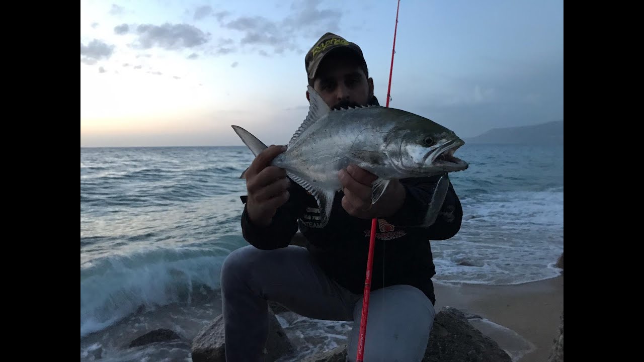 SPINNING DA TERRA LECCIA AMIA A WTD DICEMBRE 2020 RAPTURE TOP WATER OCEAN WALKER