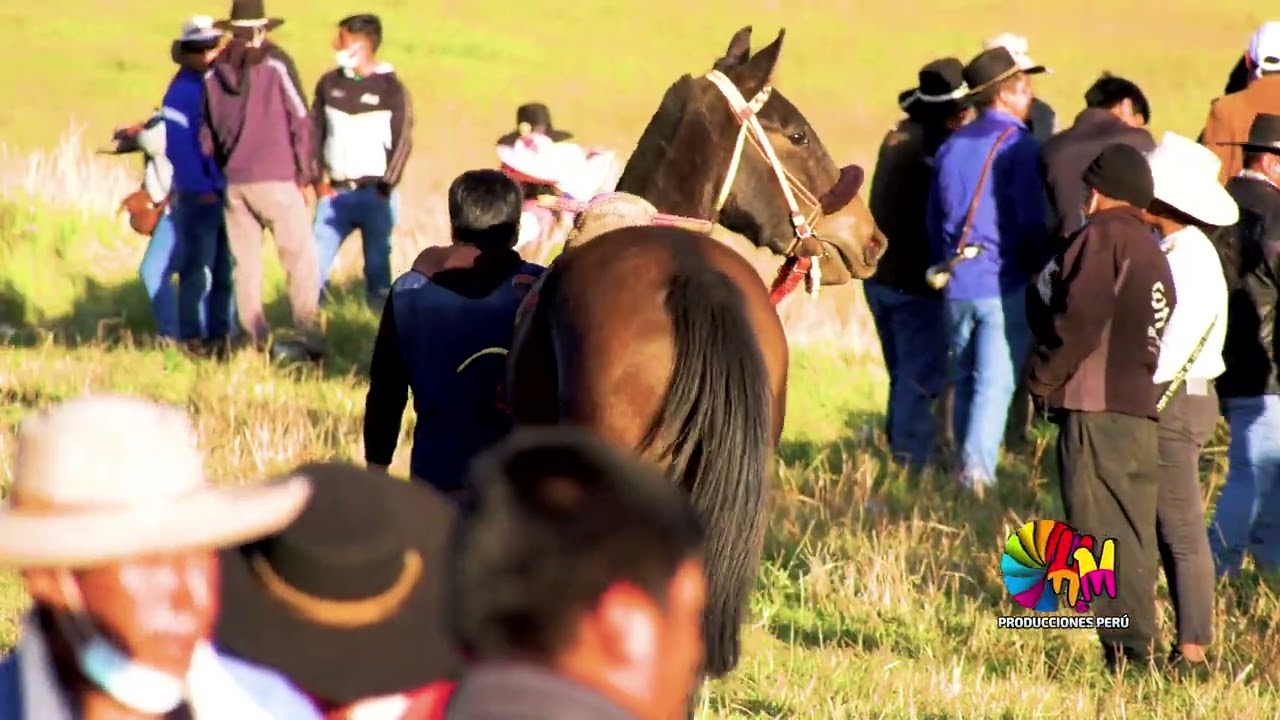Carrera de Caballos Langui 2022 / Categoria: A 400 mtrs / PRIMER D&Iacute;A / H&M PRO.PE