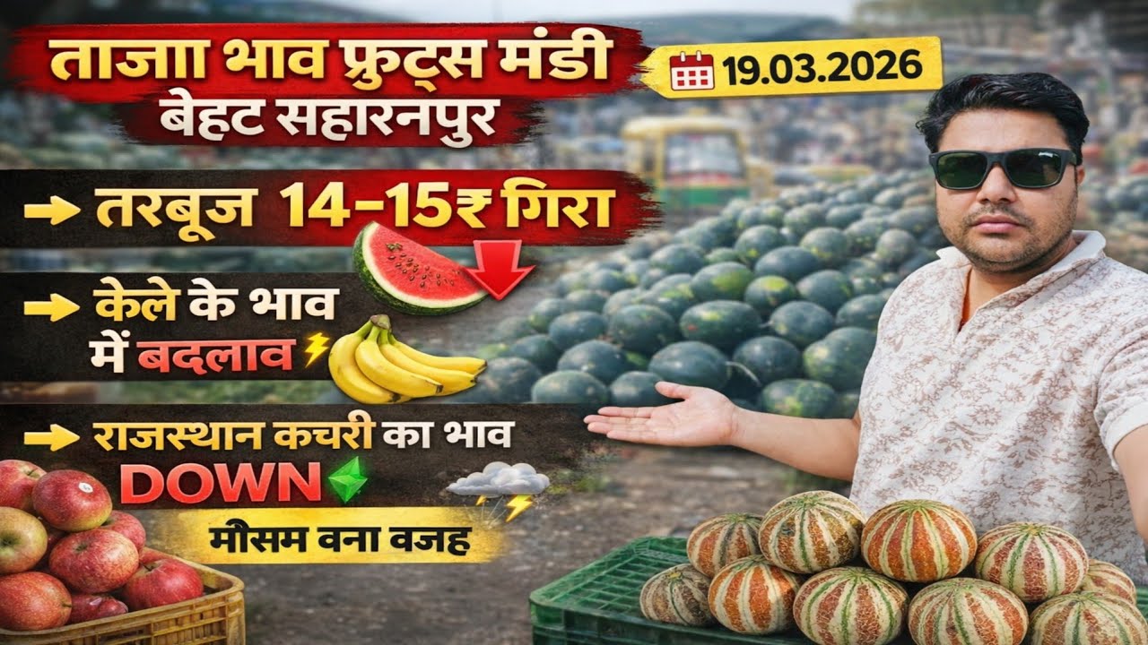 Vlogs👉आज का ताजा भाव फल मंडी बेहट सहारनपुर | तरबूज 14–15₹ गिरा | केले के भाव में बदलाव | 
