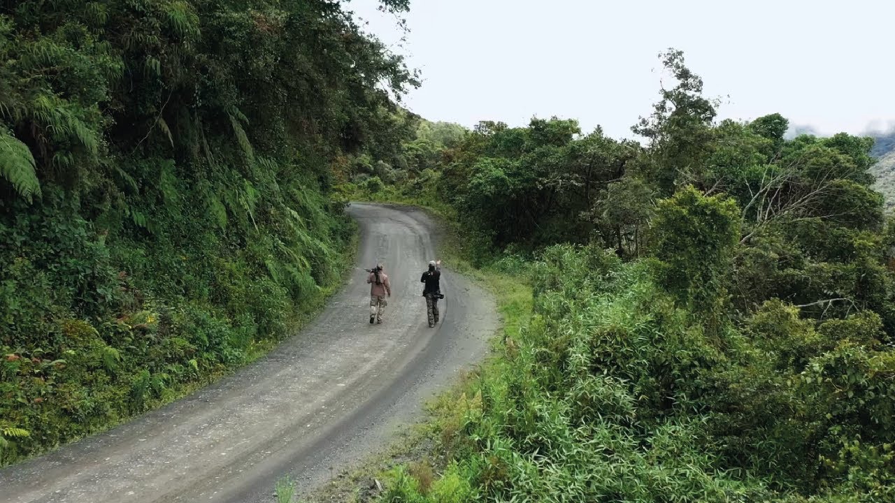 MANU ROAD II : Un mistico bosque de nubes - Temp II, cap 2