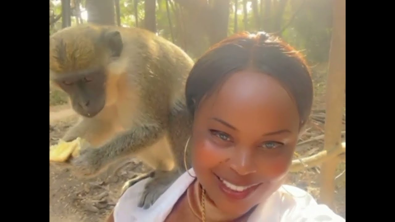 GAMBIA PT3 🇬🇲 Monkey Park look But Don't touch!