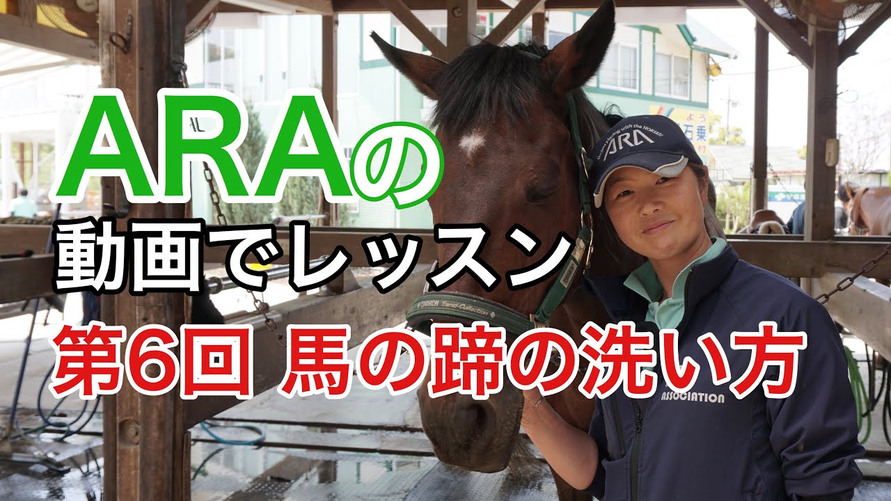 【動画で乗馬レッスン#6】馬の蹄の洗い方｜神戸からすぐの乗馬クラブ明石乗馬協会