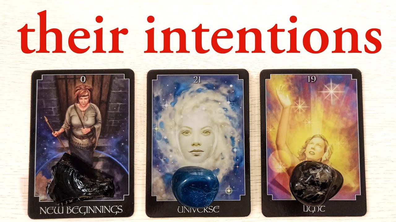 WHAT DO THEY WANT? THEIR INTENTIONS! PICK A CARD TIMELESS TAROT READING