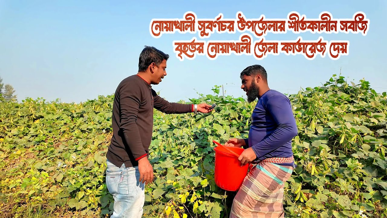 নোয়াখালী জেলার সুবর্ণাচর উপজেলার সবজি কাভারেজ করতে পারে বৃহত্তর নোয়াখালী | Noakhali