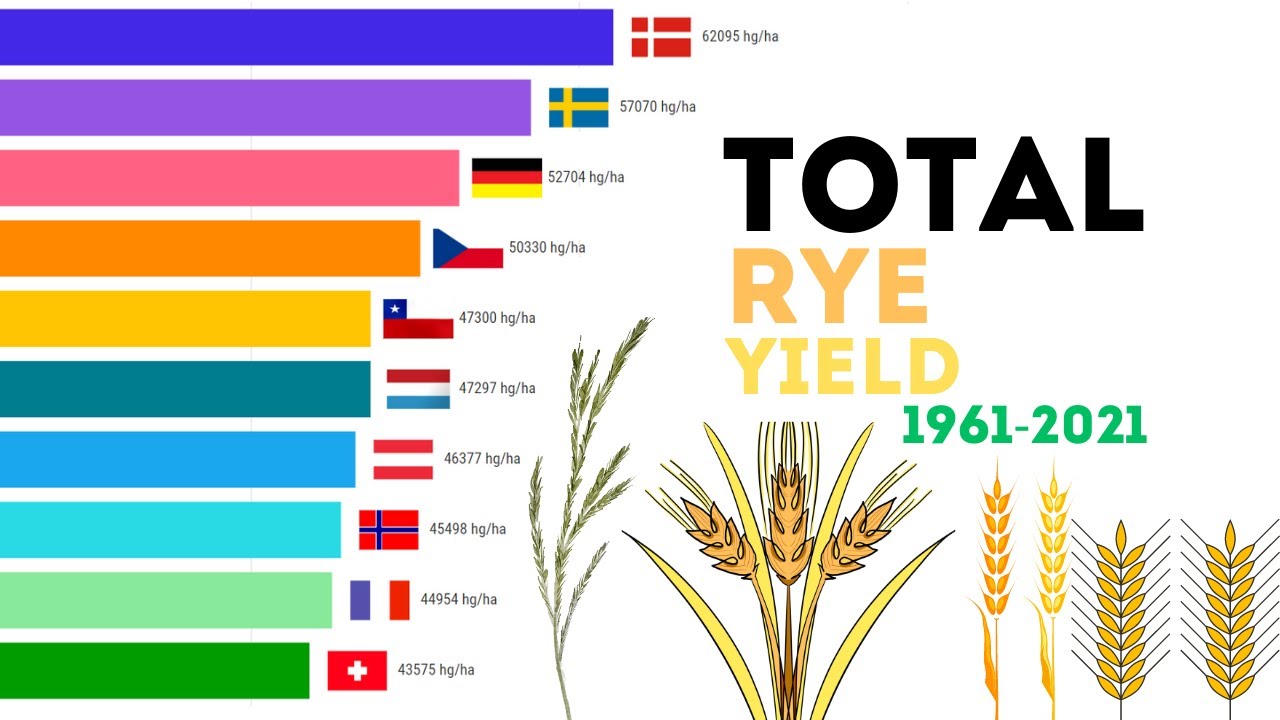 Total Rye Yield 1961-2021