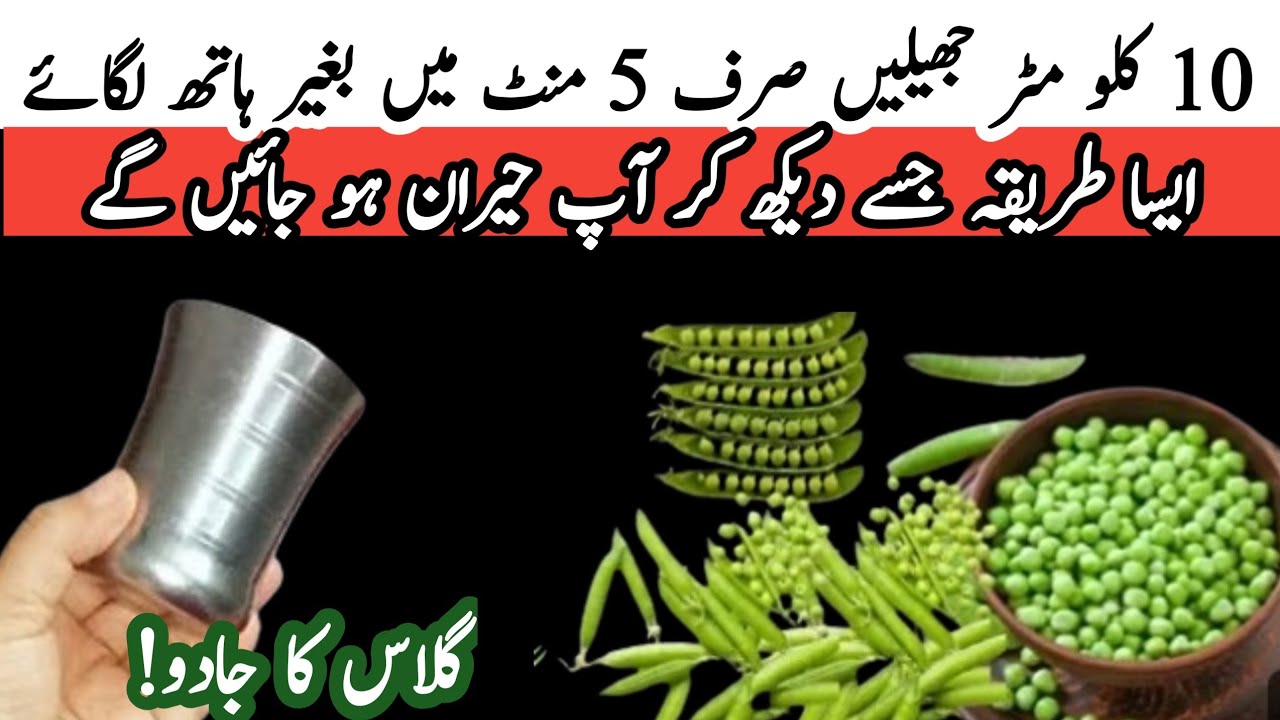 How to make fresh carrots juice without juicer with Botle/Smartly save your money & time with 1thing