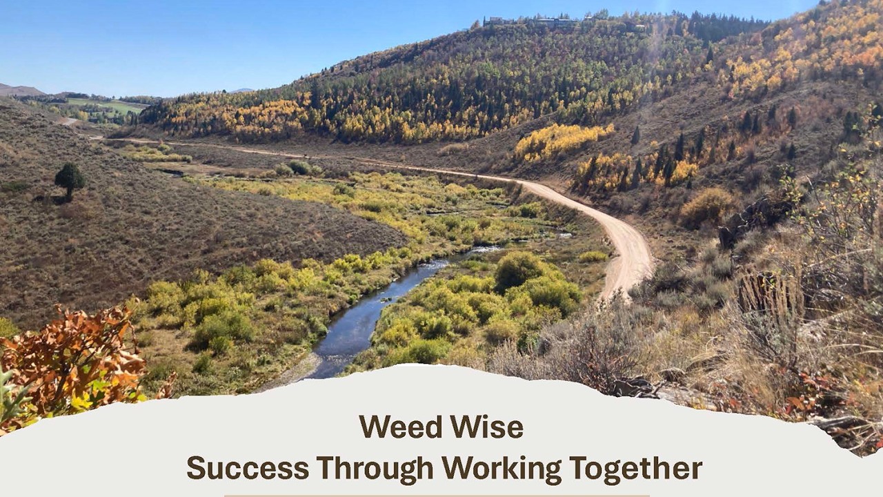 Weed Wise | Roots of Conservation
