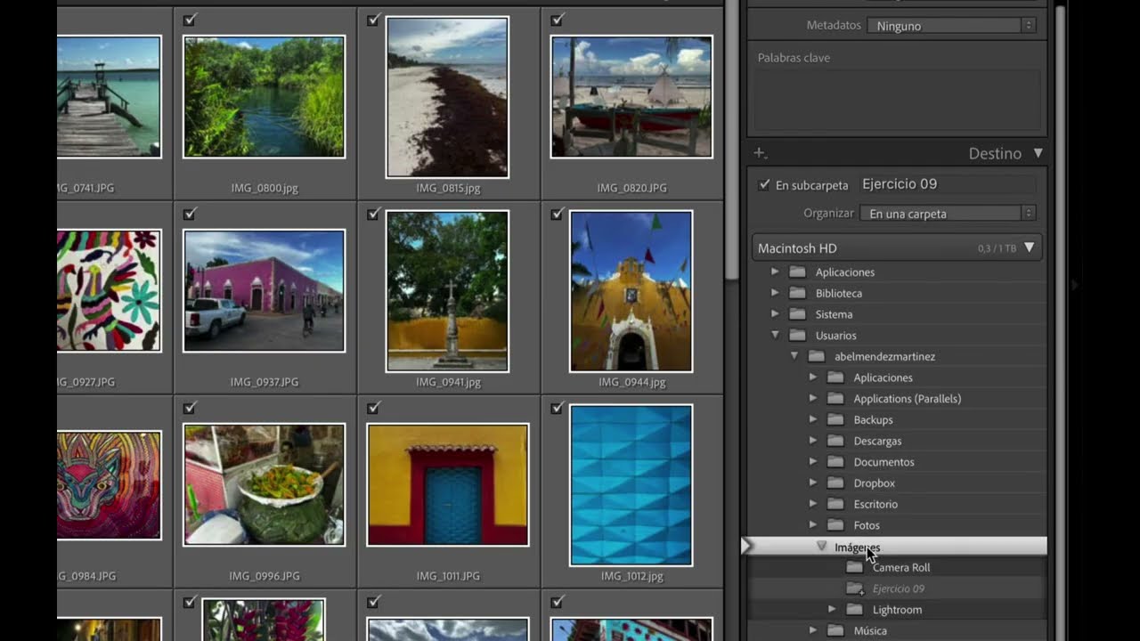 Lightroom Classic: Exportar, Imprimir y Proyectar - 1ª Parte