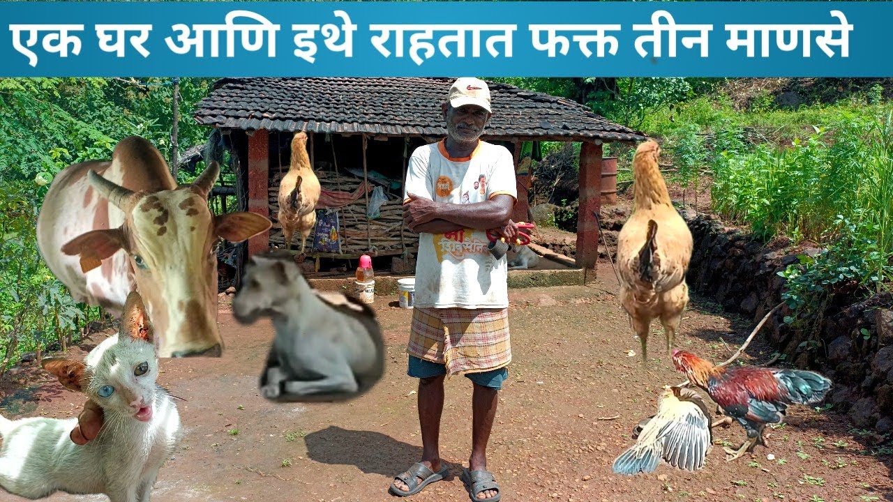 रानात फक्त एक घर , लाईट नाही, फक्त शेती,बैल, मांजर, कुत्रा एवढेच राहतात #villagelife #konkan