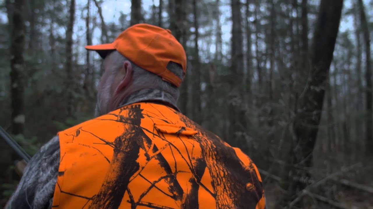 This is What Conservation Looks Like - Maine Guide