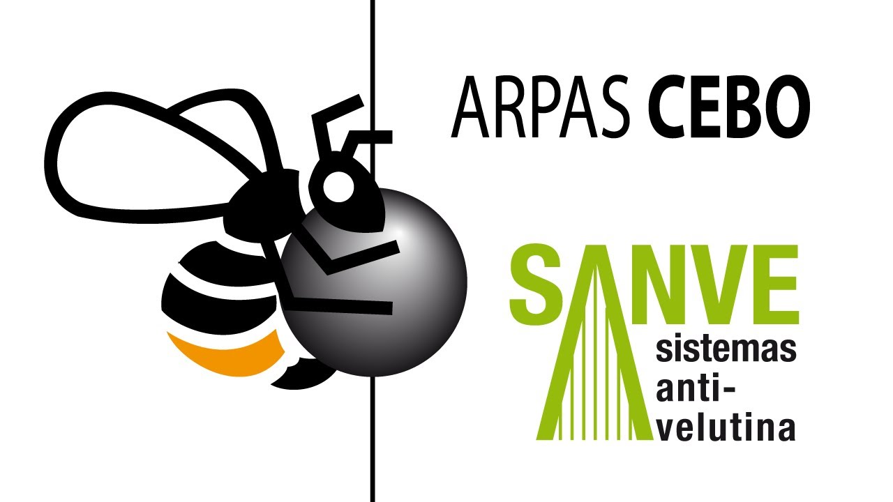 Arpa cebo contra velutina