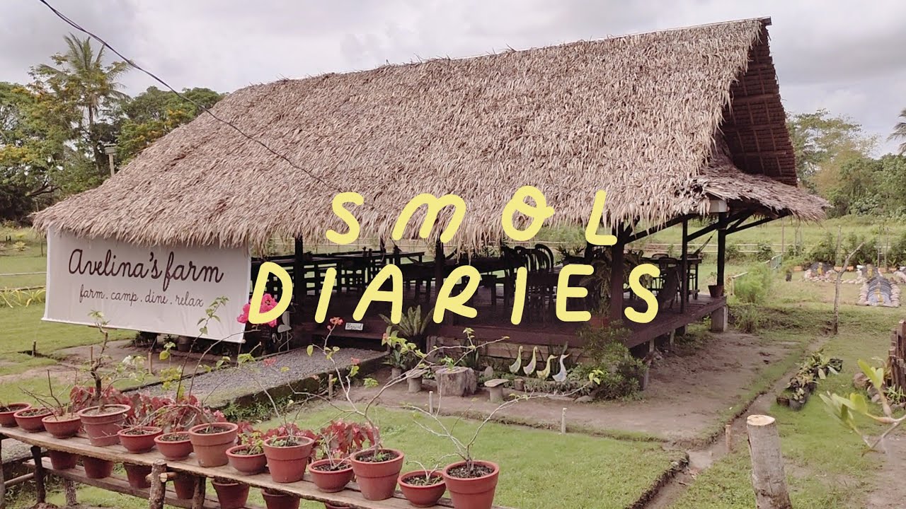 vlog 13 - art market in avelina's farm | gubat, sorsogon