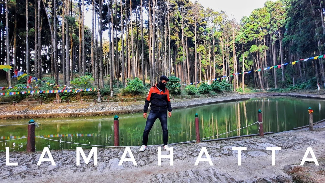 Lamahatta Tour Guide