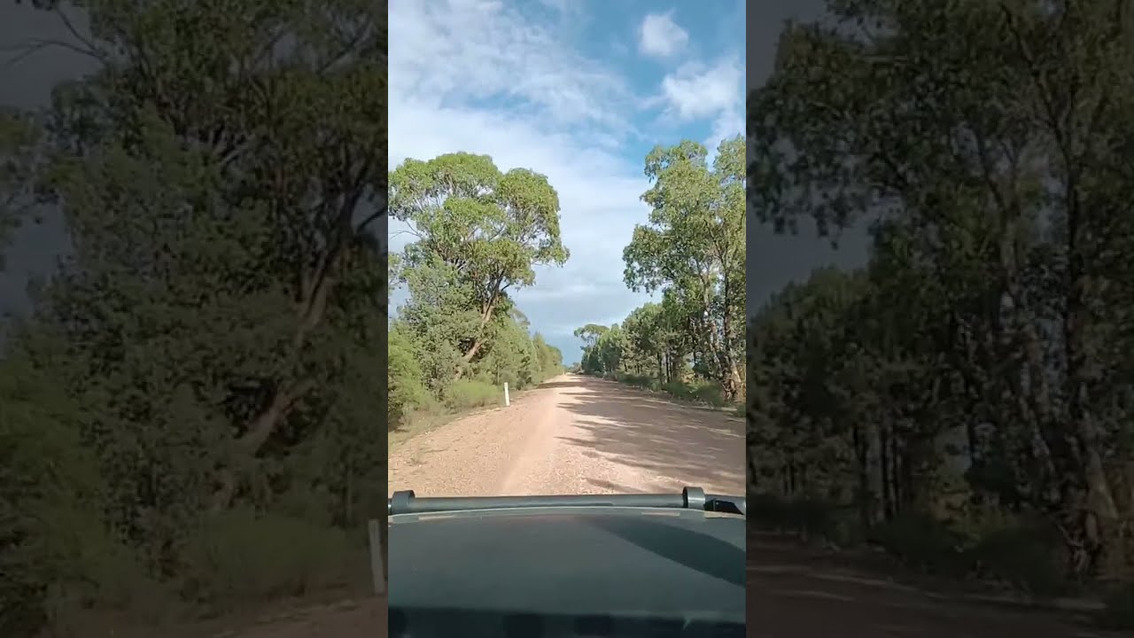 DRIVING IN THE RIVERINA NSW AUSTRALIA  is live